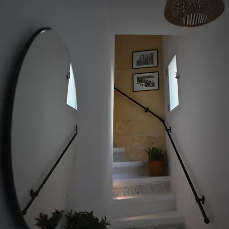 Tal-pupa Converted *