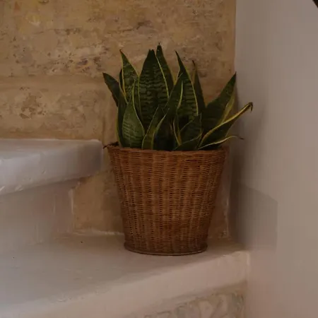 Tal-pupa Converted Marsaxlokk