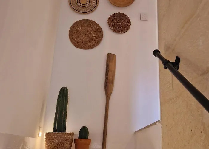 Tal-pupa Converted * مرسلوك